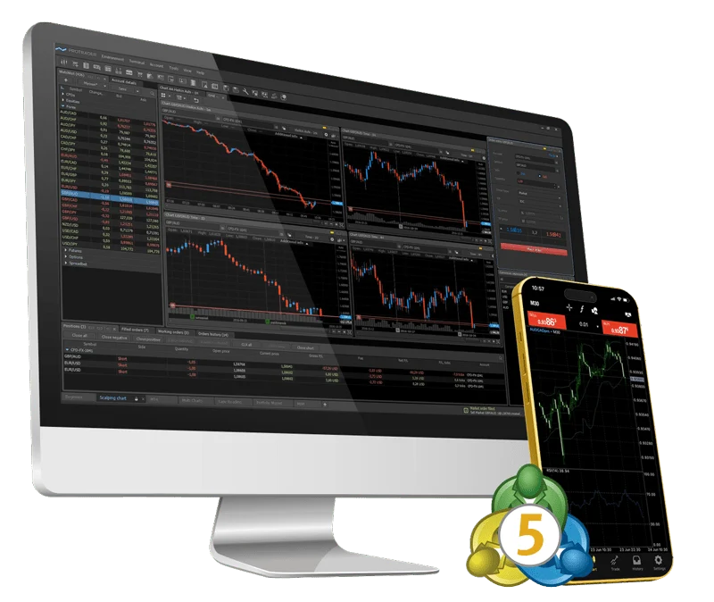 NorvoFx MetaTrader 5 platform